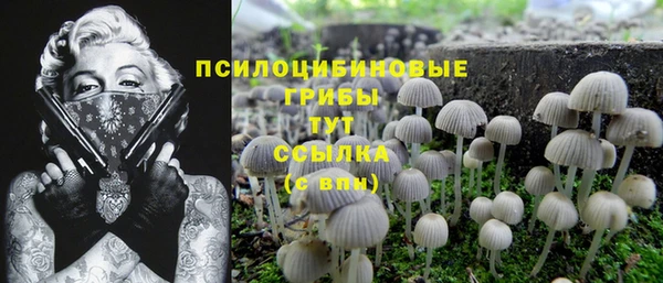 экстази Магас