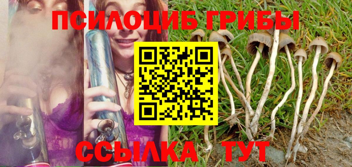 Псилоцибиновые грибы Psilocybine cubensis  Галлюциногенные грибы мухоморы  Абинск 
