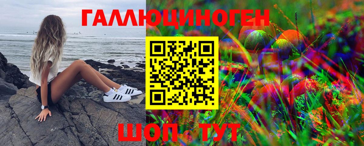 Псилоцибиновые грибы прущие грибы Абинск