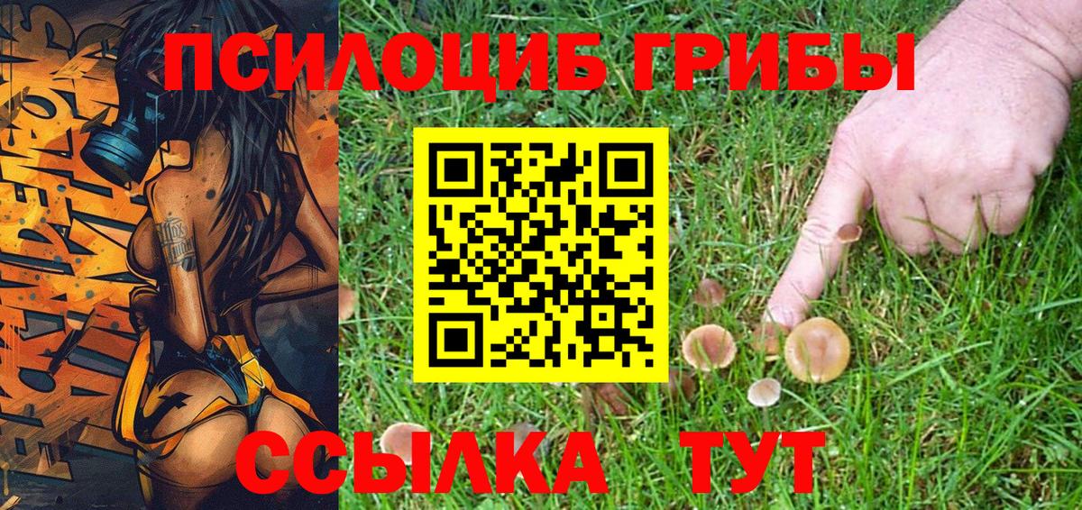 Галлюциногенные грибы Magic Shrooms  Вход с VPN  Абинск 