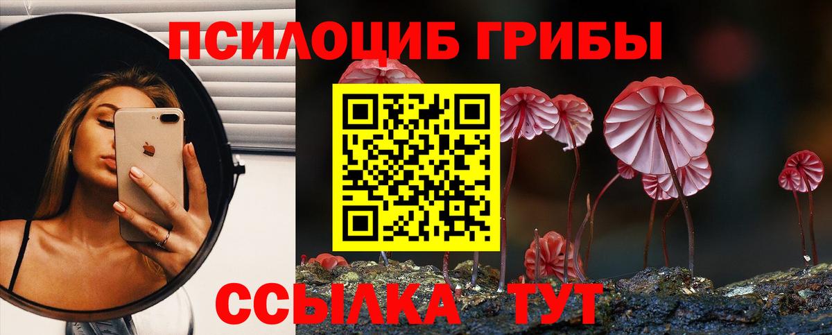 Галлюциногенные грибы мицелий Абинск